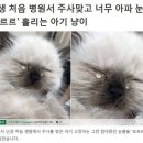 닭똥같은 눈물 흘린게 너무 귀여움 이미지