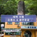 용연 | 태백 가볼만한곳 검룡소&amp;용연동굴 방문 후기 / 주차, 입장료