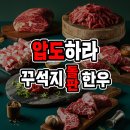 원산중앙로 7 이미지