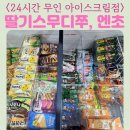 GS25 장안대평로점 | 24시간 무인 아이스크림점 내부모습 성균관대역 율전동 딸기스무디쭈 엔초바