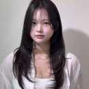 제니 레이어드컷 제니펌 헤어 컨설팅 후기