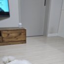 메이저 애견훈련학교 이미지