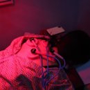 솔라온한의원 이미지