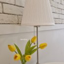 별빛약국 | 신림 별빛거리 카페레이브