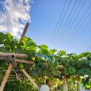 재욱농장 이미지