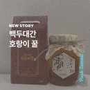 호랑이 꿀 효능 선물 추천