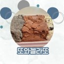 또와윤 네이버블로그