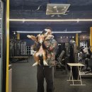 라이킷짐 | 화성 반월동PT 라이킷짐 귀여운 반려견 트레이너 쿠퍼와 함께한 특별한 운동 시간