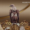 바른금매입거래소 - 유성구 문화원로 153 | 바른금매입거래소