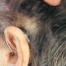 포낙보청기 해운대센터 | 노원보청기 포낙보청기 노원센터 인피니오 스피어 후기