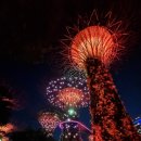 (주) 수퍼트리 이미지