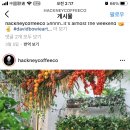 이스트 커피 컴퍼니