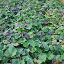 꿈나무농장 이미지