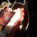 해물대장 이미지