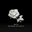 선주로-6 이미지