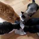 금동이PC 이미지