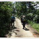 무안스포츠파크 이미지