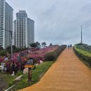 [부산 트레킹] 해파랑길 1코스 – 오륙도에서 광안리까지, 바다를 품은 트레킹