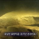 연화에너지