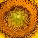 광교미소모아내과의원 이미지