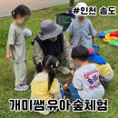 꿀참나무숲 유치원 | 인천 송도 숲체험 신청 개미쌤 그룹 수업