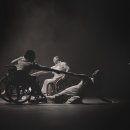선인의향기