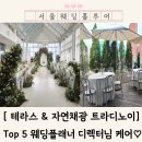 건강품은공간 | 로망 가득 채광맛집, 테라스 품은 서울 프라이빗 커스텀 스몰 웨딩 트라디노이 후기