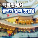 글쓰기의 첫걸음 이미지