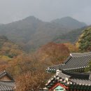용문사 이미지