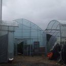 마르띠노 이미지