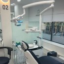 365탑치과의원 이미지