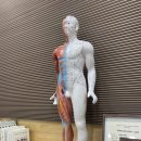 함께웃는한의원 이미지