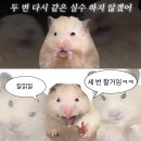본죽신길 성애병원점 | 신길성애병원 입원 후기 레츠꼬
