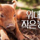 작은농장 이미지