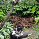 은애마당 이미지