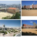 리첸시아 이미지