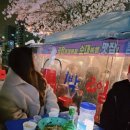 도로변(디지털로 231) | 가디역 야장포차❤️낭만 최고였던 벚꽃야장 1박2일포차 내돈내산 후기