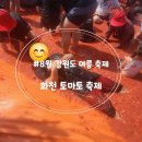 사내면군장병휴게쉼터 | [강원 화천]토마토축제, 온 세상이 다 토마토 8월 강원도 대표축제 3일차 황금반지 찾기