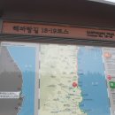 10구간 : 구룡포 - 영덕 이미지