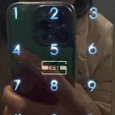 곰비임비 | 건강점수 도합 0점 1.24-1.31