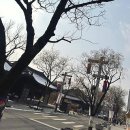 실용의상과 패턴(오후) | 전주한복대여로 만나는 전주 한옥마을의 고즈넉한 순간