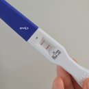 (주)수정환경 | 인공수정 1차 성공 비결 7가지 (병원에서 들은 현실적인 조언 정리)