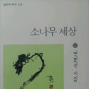 소나무세상 이미지