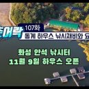 청춘어락 이미지
