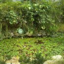 채담이네 이미지