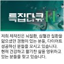 MBN특집다큐h 방송섭외~ 이미지