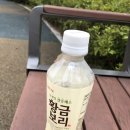 세븐일레븐 대전용문파크점 네이버블로그