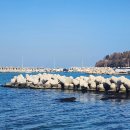 호미반도해안둘레길 이미지