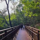 서리풀공원1-1 이미지