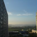금대리(하)
